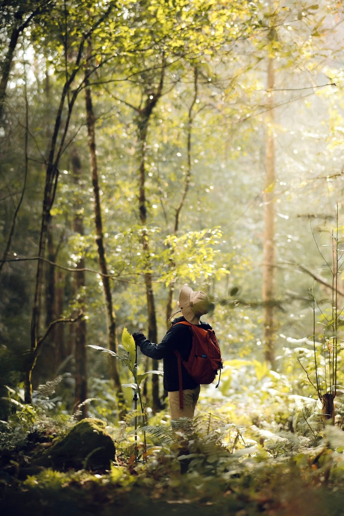 Khi trekking Ky Quan San, du khách cần chuẩn bị đồ trekking nhẹ, giày bám tốt, áo mưa, nước và thức ăn dự phòng. Nếu chưa quen đường rừng, nên thuê porter hoặc đi theo nhóm để đảm bảo an toàn. Thời tiết Tây Bắc thay đổi nhanh, vì vậy kiểm tra dự báo trước khi xuất phát là cần thiết. Đồng thời, cần tôn trọng người dân địa phương và giữ gìn môi trường, không xả rác bừa bãi.