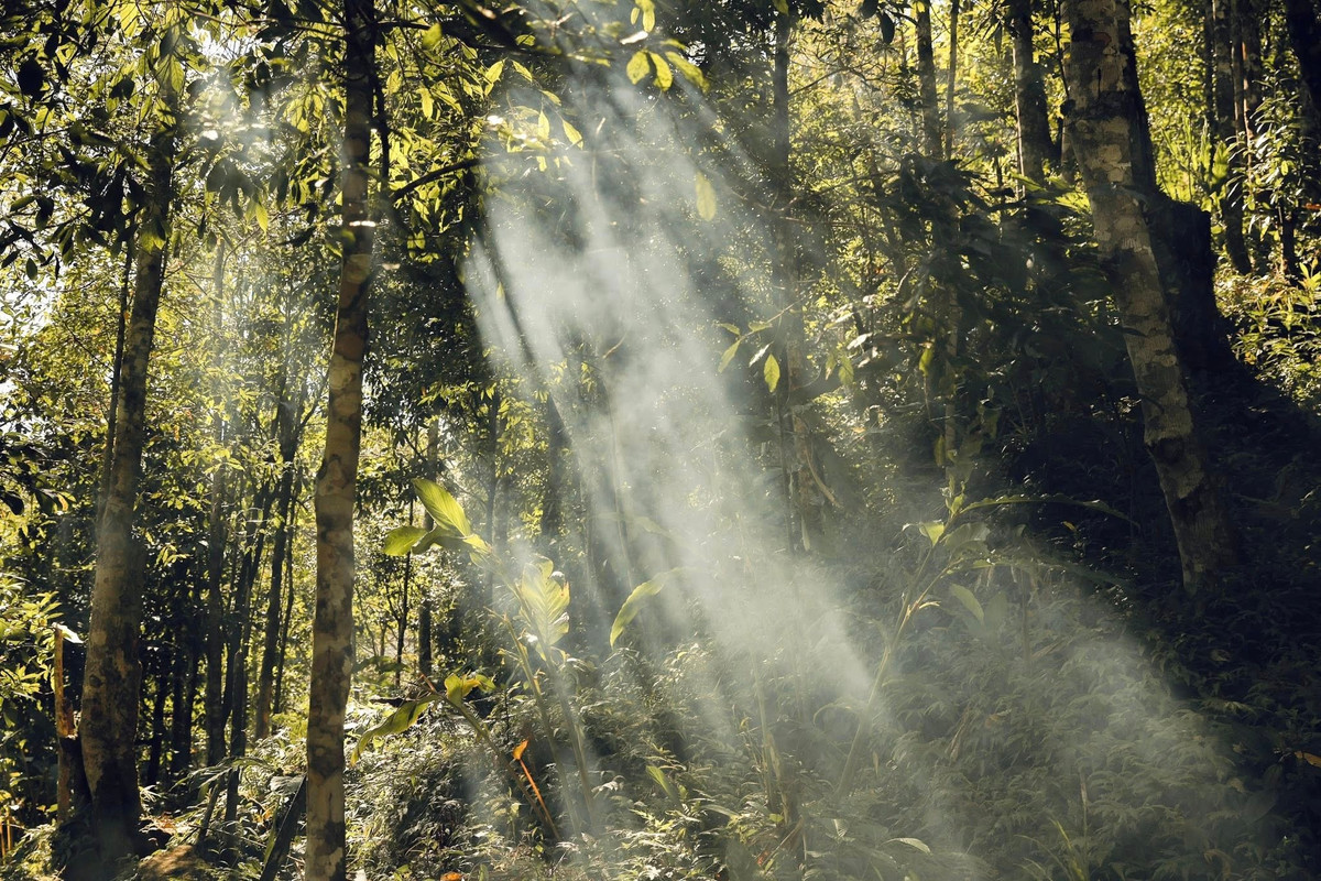 Trên đường trekking, nếu chọn lối xuống hướng Lai Châu, du khách cần mang theo toàn bộ balo trước khi lên đỉnh, bởi điểm rẽ sang hướng này gần đỉnh, thuận tiện cho việc di chuyển xuống Sin Suối Hồ. Dọc đường, đặc biệt tại “sống lưng khủng long”, xuất hiện những trạm bán nước của trẻ em và người già người Mông, tạo cảm giác gần gũi và ấm áp.