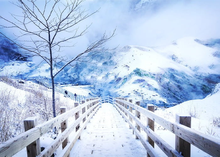 Intour cung cấp tour Hà Nội – Hokkaido – Furano – Sapporo 6 ngày 5 đêm với giá từ 48,99 triệu đồng/khách, bao gồm khách sạn 4 sao, hướng dẫn viên tiếng Việt và lịch trình dừng tại nhiều điểm ngắm tuyết đẹp. Ảnh Nippon Travel