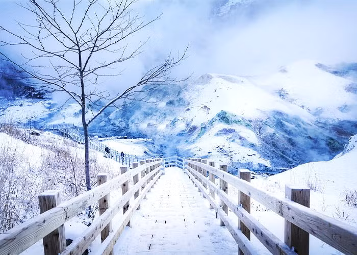 Intour cung cấp tour Hà Nội – Hokkaido – Furano – Sapporo 6 ngày 5 đêm với giá từ 48,99 triệu đồng/khách, bao gồm khách sạn 4 sao, hướng dẫn viên tiếng Việt và lịch trình dừng tại nhiều điểm ngắm tuyết đẹp. Ảnh Nippon Travel