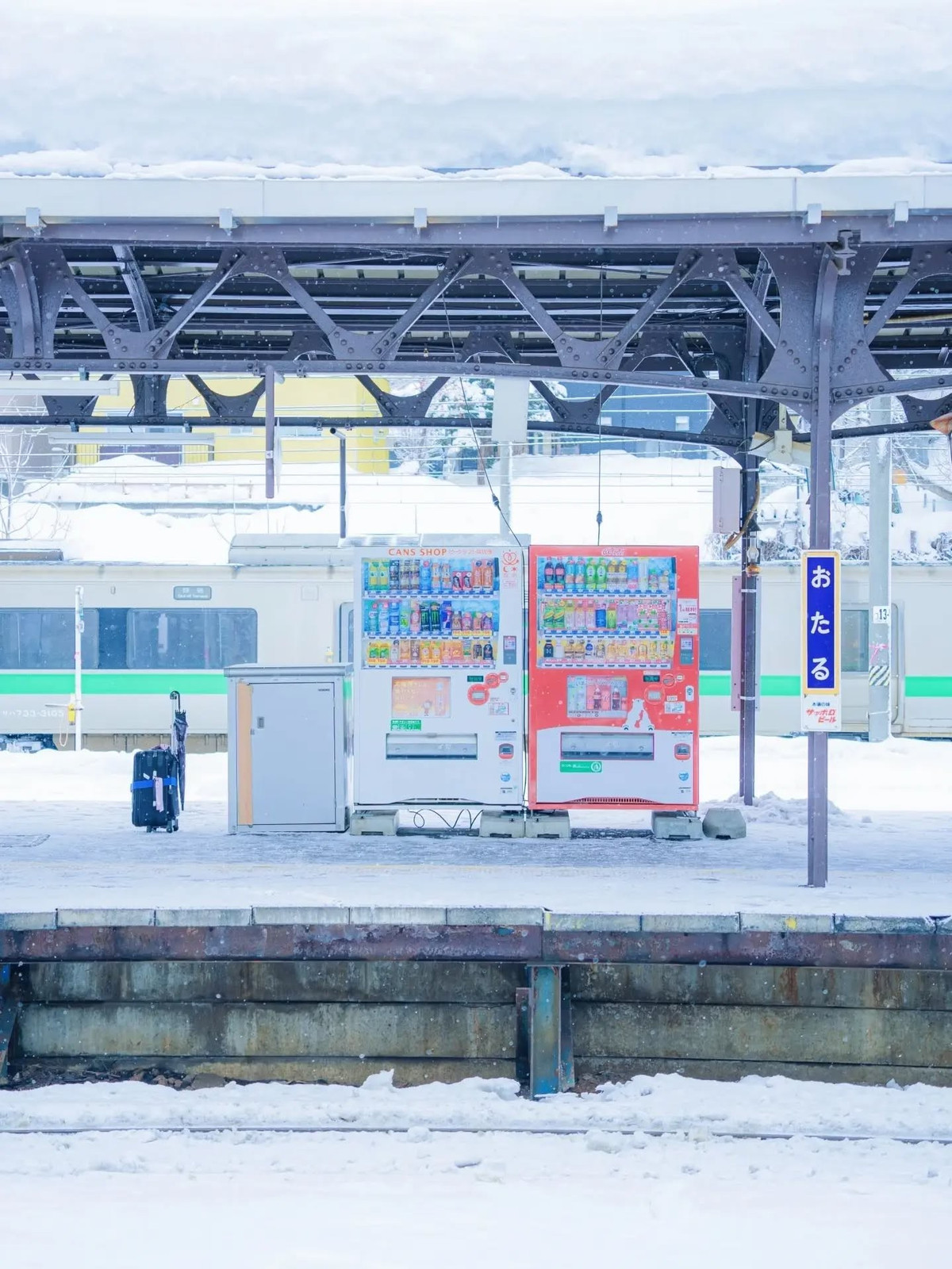 Khi đêm xuống, hệ thống ánh sáng được chiếu lên các khối băng tạo nên không gian lung linh, biến thành phố thành một sân khấu nghệ thuật ngoài trời. Du khách cũng có thể tham gia các trò chơi mùa đông như trượt băng, nặn tuyết, xem hoạt động trình diễn ánh sáng và thưởng thức ẩm thực đường phố đặc trưng. Ảnh Vietrantour