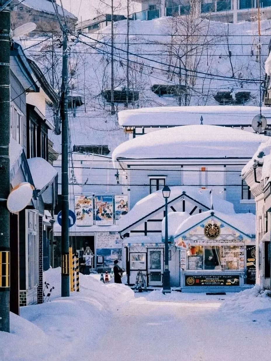 Ngoài ra, đây là mùa cao điểm, đặc biệt quanh thời gian diễn ra Lễ hội tuyết Sapporo, nên việc đặt tour, vé máy bay và khách sạn sớm sẽ giúp tránh tình trạng cháy phòng và tăng giá. Ảnh Vietrantour