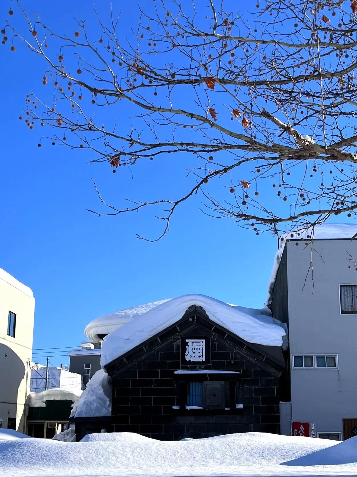 Những hồ nước nổi tiếng như Shikotsu hay Mashu, khi được bao phủ bởi băng, tạo nên không gian tĩnh lặng và huyền ảo giữa nền trời mùa đông. Công viên Quốc gia Shiretoko – di sản thiên nhiên thế giới – vào mùa này cũng trở nên đặc biệt hơn với những cánh rừng nguyên sơ và lớp băng dày trên biển. Ảnh Vietrantour