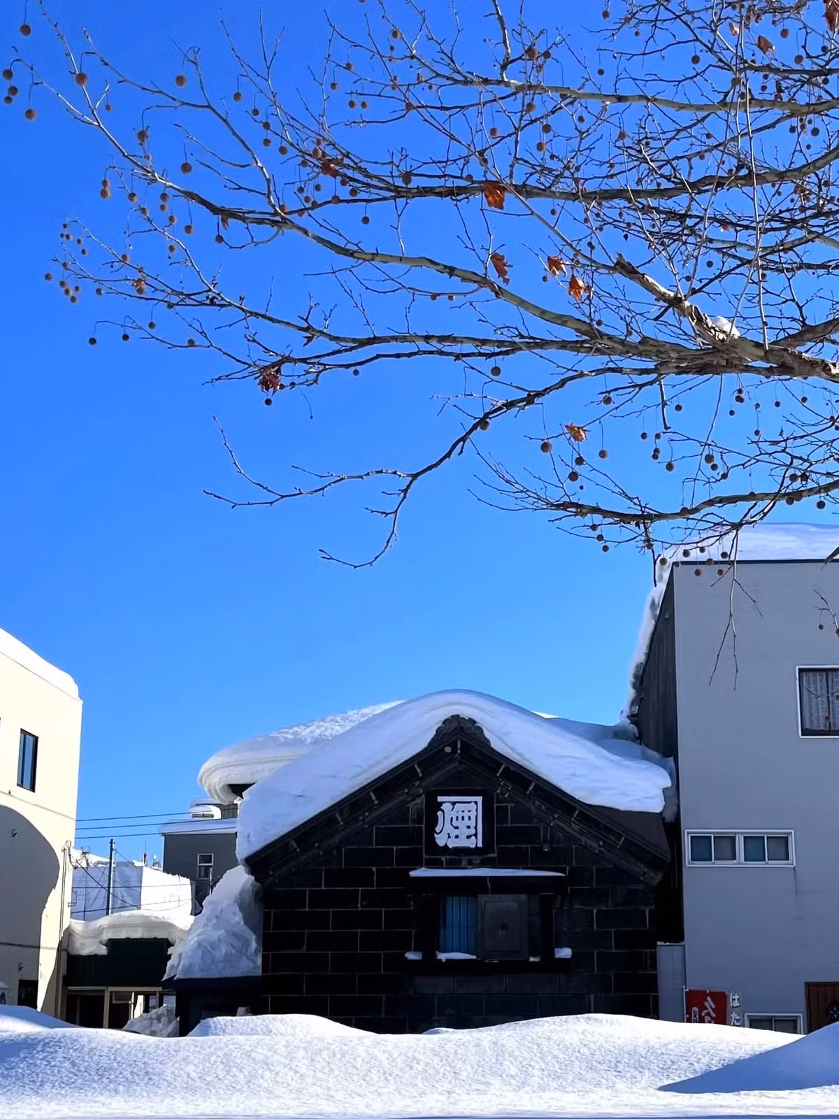 Những hồ nước nổi tiếng như Shikotsu hay Mashu, khi được bao phủ bởi băng, tạo nên không gian tĩnh lặng và huyền ảo giữa nền trời mùa đông. Công viên Quốc gia Shiretoko – di sản thiên nhiên thế giới – vào mùa này cũng trở nên đặc biệt hơn với những cánh rừng nguyên sơ và lớp băng dày trên biển. Ảnh Vietrantour