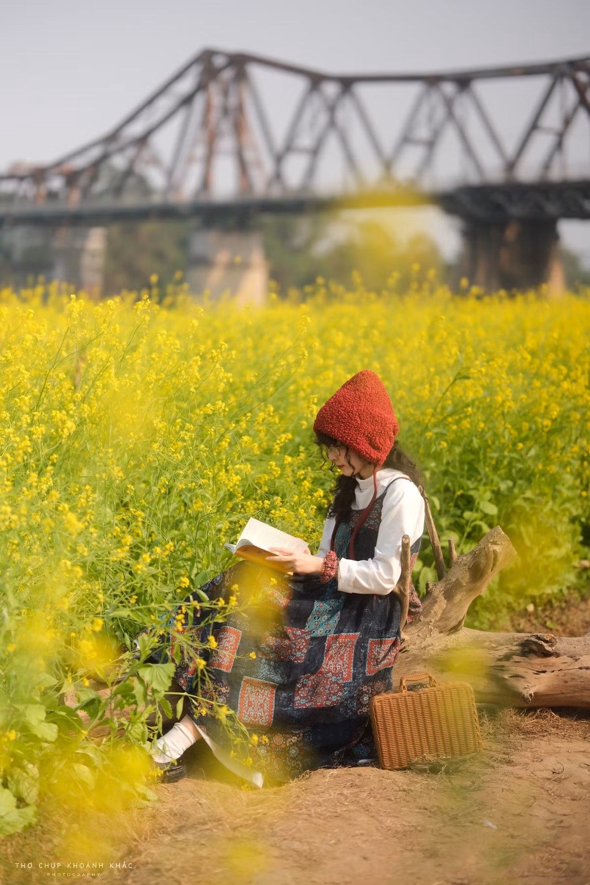 Theo chia sẻ của nhiều du khách, thời điểm buổi sáng sớm hoặc chiều muộn là lúc bến hoa Phúc Xá đẹp nhất. Khi ánh nắng nhẹ phủ lên những luống hoa cải, cả khu vực như được nhuộm một gam màu vàng ấm áp, tạo điều kiện thuận lợi cho việc tham quan và chụp ảnh. Du khách cũng được khuyến cáo di chuyển theo các lối đi đã được bố trí sẵn, hạn chế giẫm đạp để giữ gìn cảnh quan chung. Ảnh Nguyen Thuong