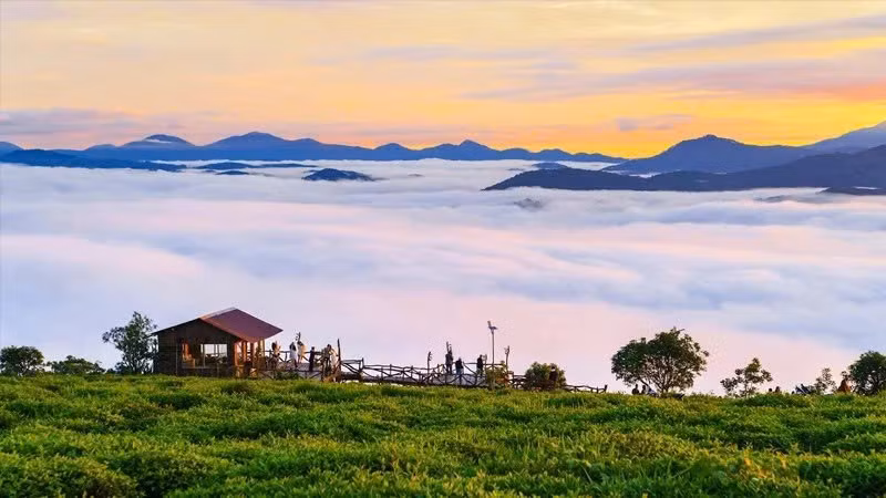 Khi đặt chân đến chân đồi chè, sự tĩnh lặng bao trùm khiến nhiều du khách ngạc nhiên. Ảnh samtenhills