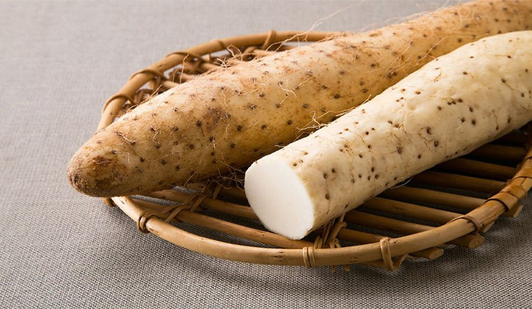 Khoai từ, hay còn gọi là củ từ, là loại củ có giá trị dinh dưỡng cao, giàu chất xơ và protein thực vật. Loại củ này được khuyến khích sử dụng trong chế độ ăn kiêng cho người tiểu đường, cao huyết áp, béo phì, đồng thời giúp cải thiện tình trạng táo bón, khó ngủ, hạ sốt nhẹ… Ảnh minh họa