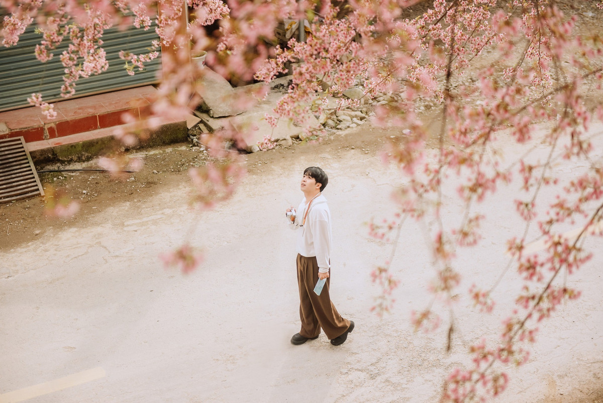 Một trong những điểm được nhiều người lựa chọn check-in là khu vực đồn biên phòng Lũng Cú. Những cây mai anh đào được trồng từ nhiều năm trước nay đã cao lớn, tán rộng. Khi vào mùa, sắc hoa phủ kín khuôn viên, tạo nên khung cảnh nổi bật, có thể dễ dàng nhận ra từ khoảng cách xa.