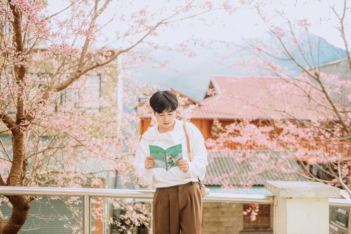 Bên cạnh đó, các khu vực phía sau bến xe khách Đồng Văn, khuôn viên trường học nội trú hay con đường dẫn vào làng Lô Lô Chải cũng là những nơi hoa nở rải rác, thích hợp để chụp ảnh, dạo bộ và tận hưởng không khí vùng cao.