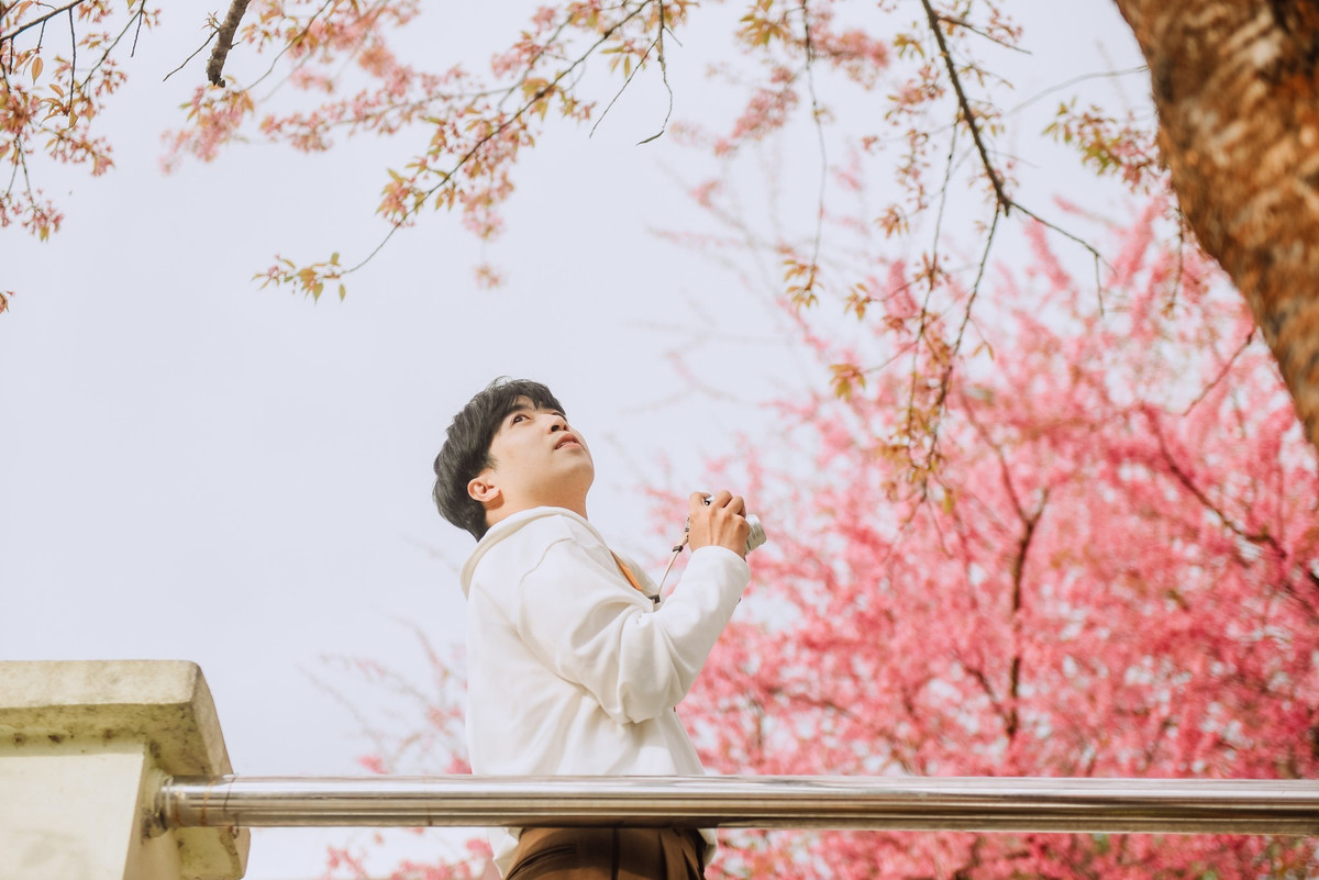 Thời tiết những ngày này dao động từ 17–20 độ C, trời se lạnh nhưng khô ráo, thuận lợi cho việc tham quan và chụp ảnh ngoài trời. Khung giờ được khuyến nghị là buổi sáng từ 8h đến 9h, khi sương tan và ánh nắng vừa đủ, hoặc buổi chiều từ 15h đến 16h với ánh sáng mềm, giúp màu hoa lên hình rõ nét hơn. Trang phục sáng màu, đơn giản sẽ giúp nổi bật giữa không gian ngập sắc hồng.