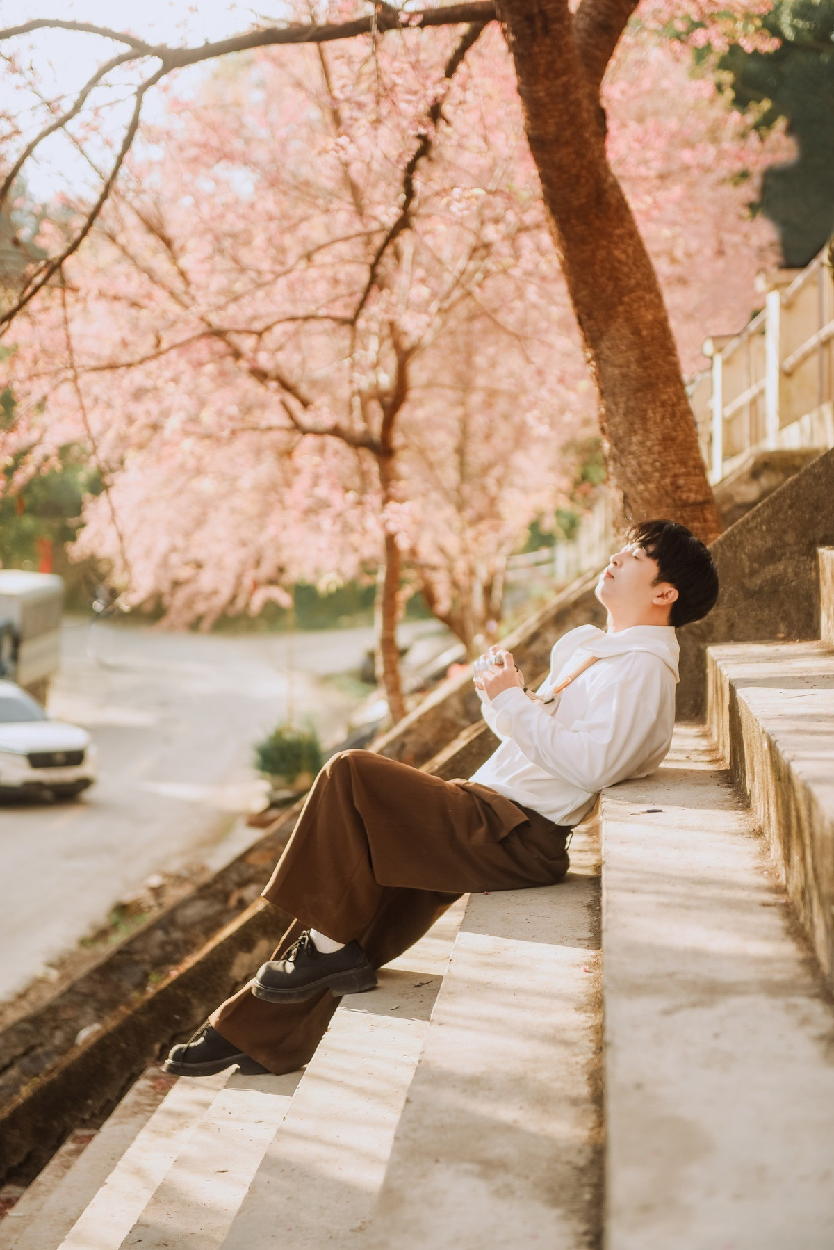 Để đến Lũng Cú, du khách thường lựa chọn xe giường nằm xuất phát từ bến xe Mỹ Đình (Hà Nội) đến khu vực trung tâm, sau đó tiếp tục di chuyển bằng xe ghép hoặc phương tiện cá nhân. Từ trung tâm xã, thuê xe máy là cách thuận tiện nhất để chủ động ghé thăm các điểm hoa nở đẹp nằm rải rác quanh khu vực.