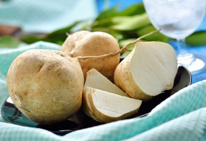 Bên cạnh đó, vitamin B6 trong củ đậu giúp cơ thể chuyển hóa protein thành năng lượng, hỗ trợ chức năng thần kinh, hình thành các tế bào máu đỏ và tổng hợp các kháng thể chống lại virus, vi khuẩn. Ảnh minh họa