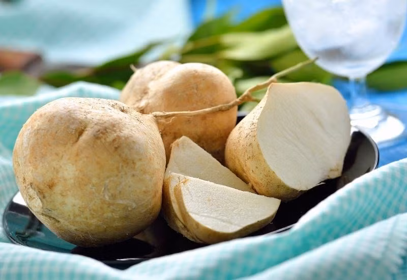 Bên cạnh đó, vitamin B6 trong củ đậu giúp cơ thể chuyển hóa protein thành năng lượng, hỗ trợ chức năng thần kinh, hình thành các tế bào máu đỏ và tổng hợp các kháng thể chống lại virus, vi khuẩn. Ảnh minh họa