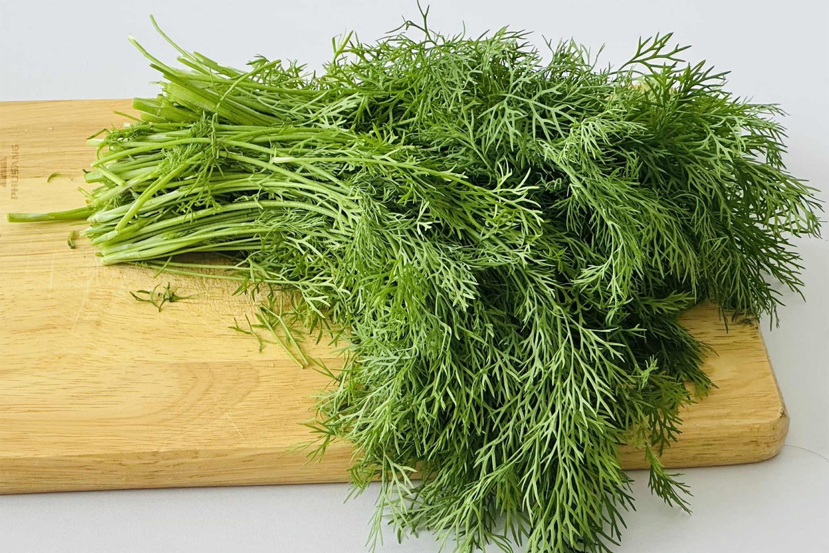 Thì là là loại rau gia vị quen thuộc trong nhiều món ăn của người Việt như canh cá, canh lươn, cháo hải sản hay các món hấp. Mùi thơm đặc trưng của thì là giúp khử mùi tanh, làm món ăn dậy vị và dễ ăn hơn trong những ngày lạnh. Ảnh minh họa