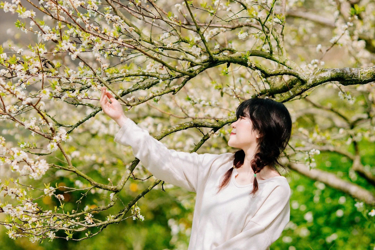 Chính sự giản dị ấy lại tạo nên sức hút riêng. Những bức ảnh chụp tại Pa Khen thường mang màu sắc đời thường, tự nhiên, không cần sắp đặt cầu kỳ nhưng vẫn toát lên vẻ thơ mộng rất riêng của mùa xuân vùng cao. Ảnh Hàn Thương