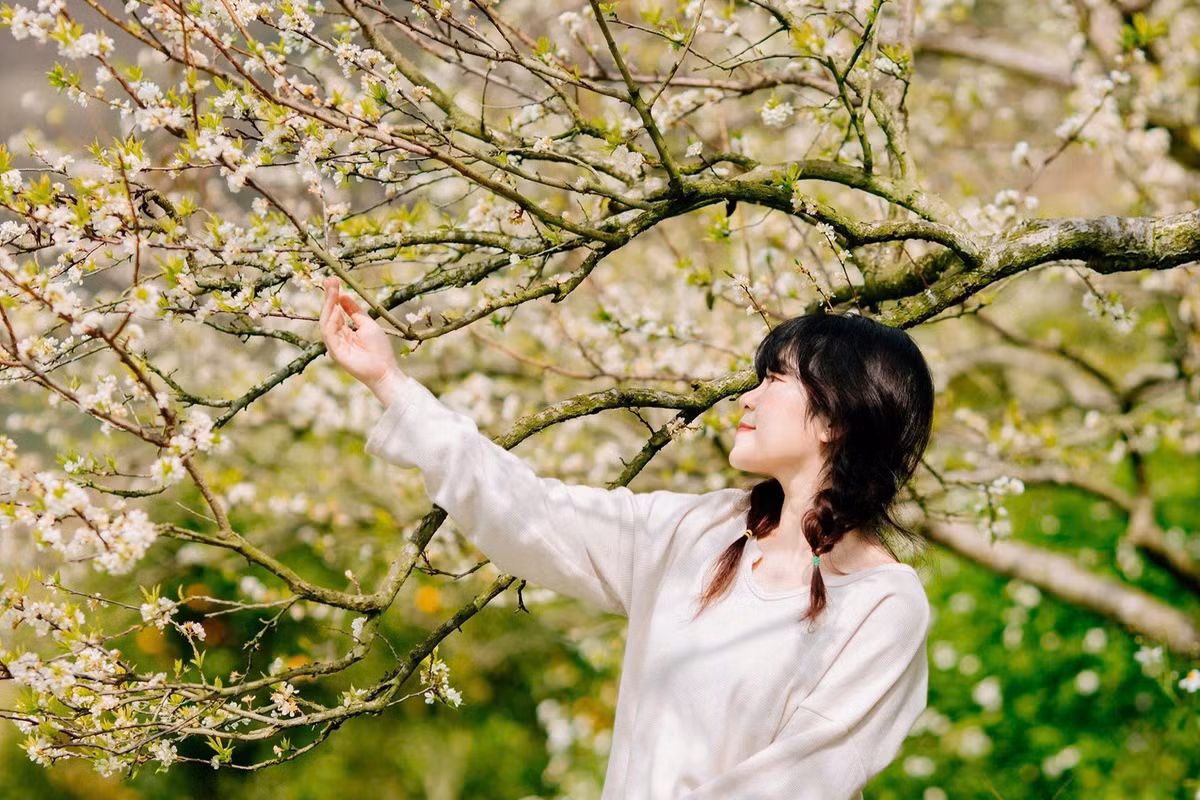 Chính sự giản dị ấy lại tạo nên sức hút riêng. Những bức ảnh chụp tại Pa Khen thường mang màu sắc đời thường, tự nhiên, không cần sắp đặt cầu kỳ nhưng vẫn toát lên vẻ thơ mộng rất riêng của mùa xuân vùng cao. Ảnh Hàn Thương