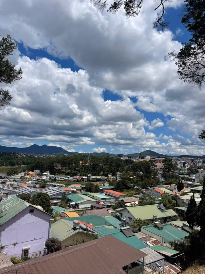Vào mùa Mai Anh Đào, dốc Nhớ Hoài càng trở nên lãng mạn khi những cây hoa hồng rực nở, tô điểm cho con dốc thêm phần sinh động và thơ mộng. Khung cảnh hoa đào bung nở bên những mái nhà gỗ và hàng thông xanh tạo nên những góc sống ảo tuyệt đẹp, khiến du khách mê mẩn chụp hình lưu niệm. Ảnh SuMi