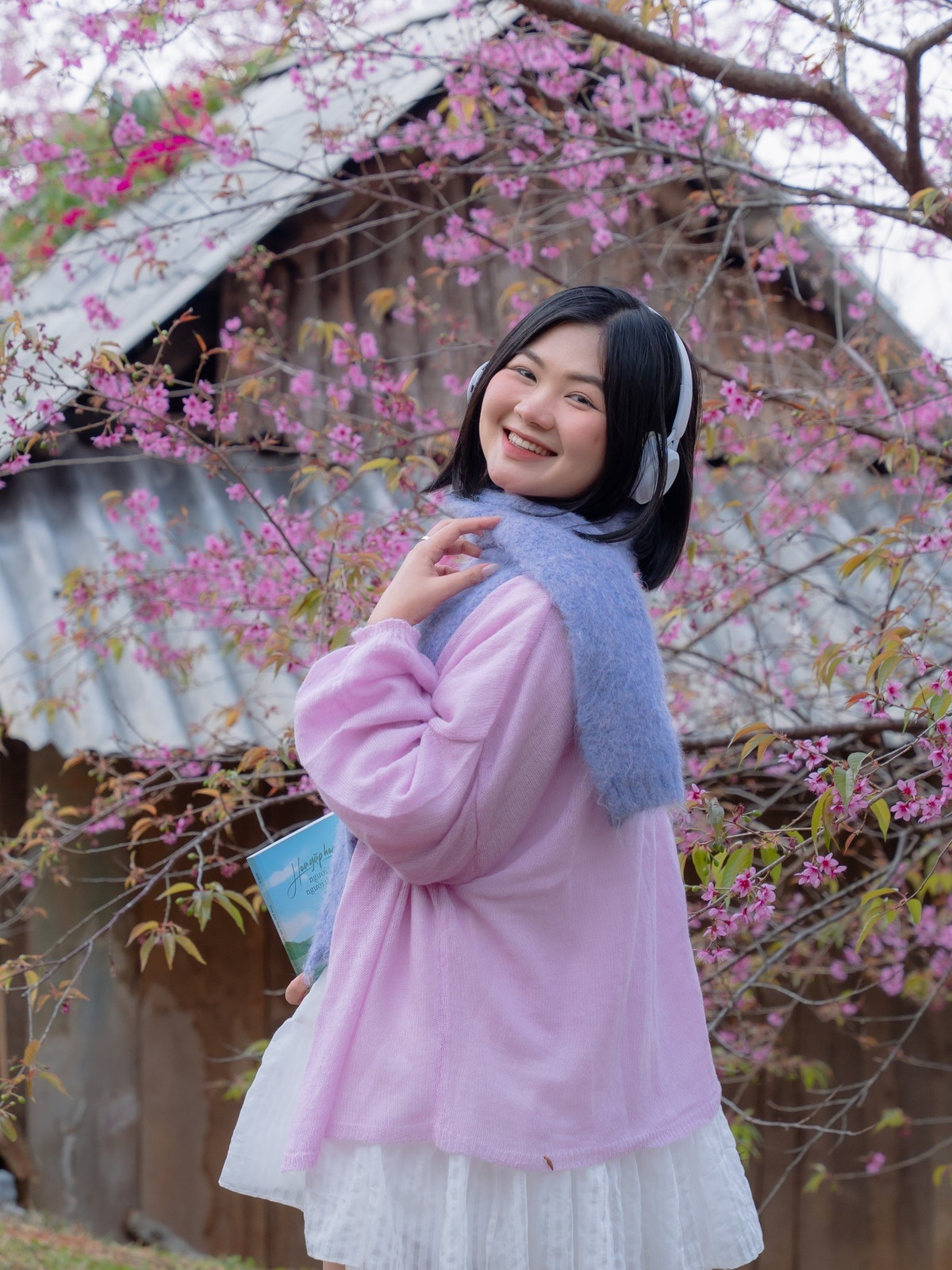 Khác với hoa mơ, hoa mận thường tập trung ở các bản làng ven trung tâm, mai anh đào lại hiện diện ngay trên những con phố quen thuộc. Chỉ cần thong thả dạo bước hay chạy xe chầm chậm qua các cung đường, du khách đã có thể bắt gặp sắc hoa hồng phớt nổi bật dưới nền trời xanh và nắng xuân dịu nhẹ. Ảnh Fanpage Đi trốn không