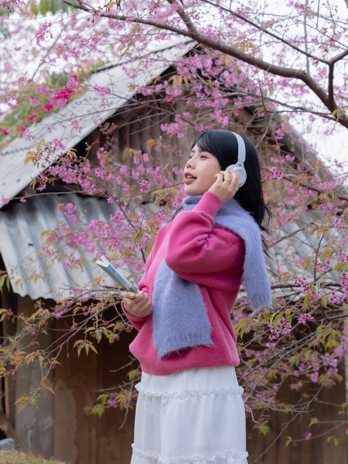 Mai anh đào ở Mộc Châu thường nở rộ vào cuối đông – đầu xuân, kéo dài không quá lâu, phụ thuộc nhiều vào thời tiết. Vì vậy, du khách nên theo dõi thông tin địa phương để lựa chọn thời điểm phù hợp. Khi tham quan và chụp ảnh, cần giữ gìn cảnh quan, không bẻ cành, rung cây hay xả rác, góp phần bảo vệ vẻ đẹp thiên nhiên và hình ảnh du lịch Mộc Châu thân thiện, văn minh. Ảnh Fanpage Đi trốn không