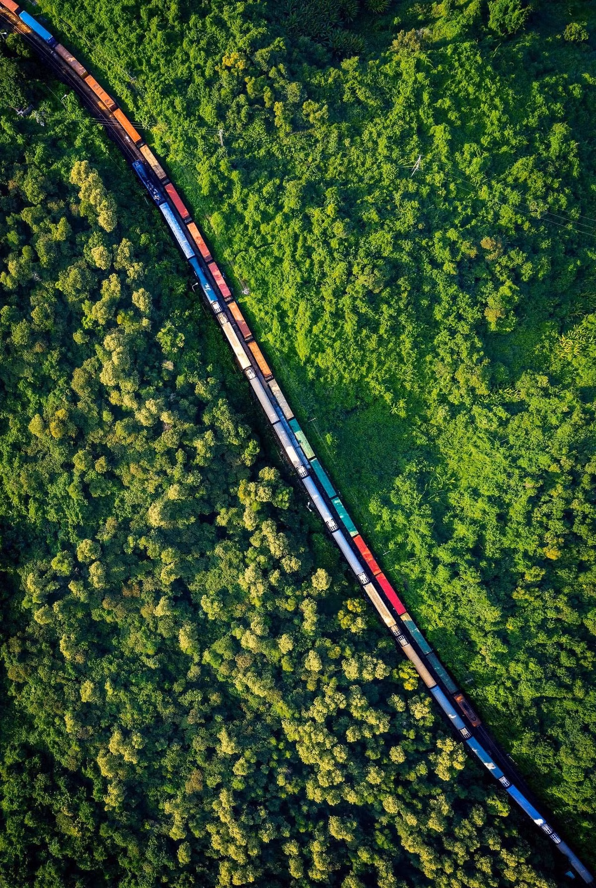 Điểm nhấn lớn nhất của hành trình chính là khi tàu bắt đầu băng qua đèo Hải Vân – đoạn đường sắt được mệnh danh là đẹp bậc nhất Đông Nam Á.