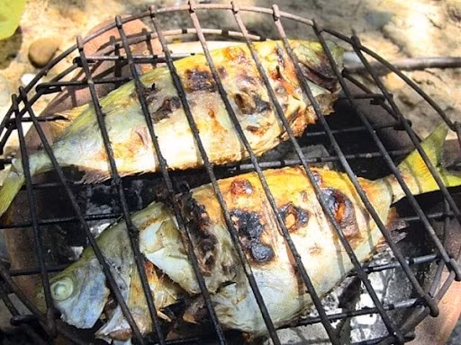 Một đặc sản ít nơi có là cá giò bảy món. Cá giò loại cá da trơn sống ở vùng biển Nghệ An được chế biến thành nhiều món như hấp, chiên, nướng, rim, nấu lẩu, nấu cháo và làm gỏi. Mỗi cách chế biến lại cho một trải nghiệm vị giác riêng biệt, từ thanh mát đến đậm đà. Ảnh dacsannghetinh