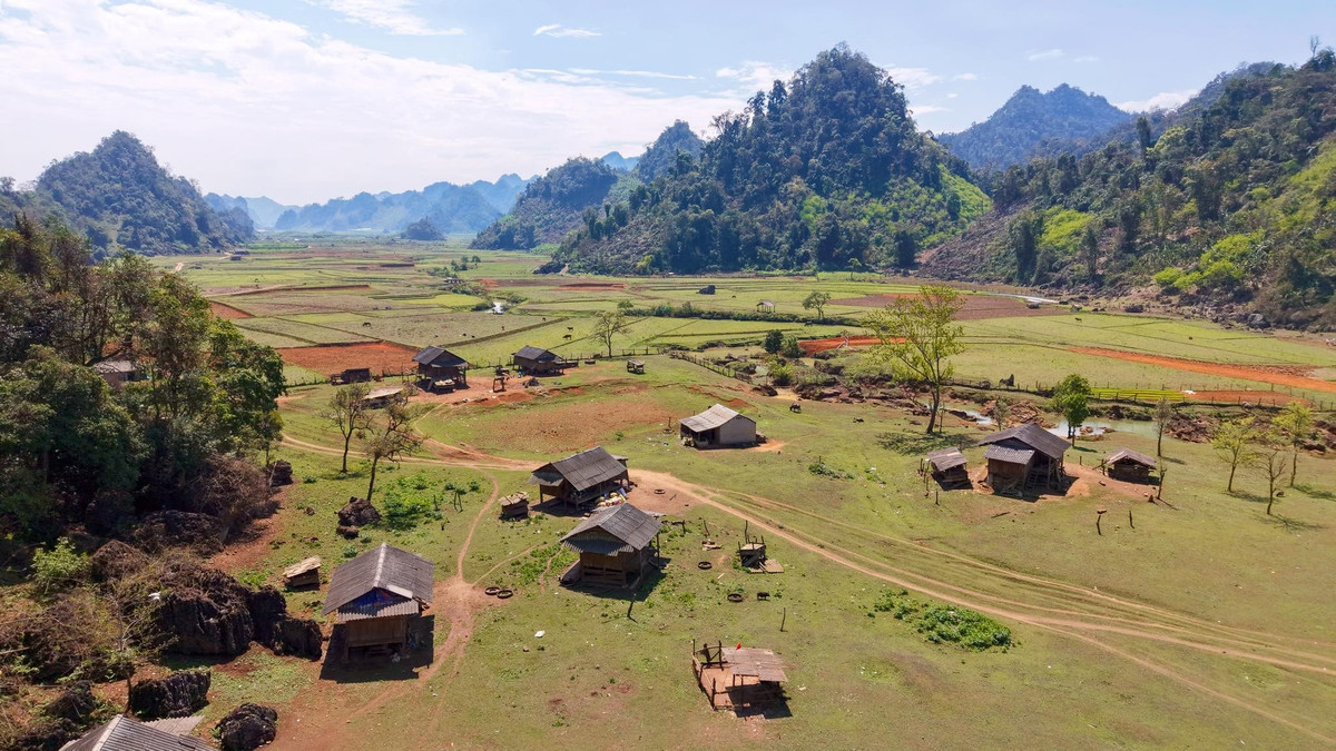 Bản hiện ra yên ả với những nếp nhà truyền thống nép mình bên sườn núi, xung quanh là màu xanh mướt của rừng núi, những vườn mận, vườn đào, bãi cỏ trải dài và các thửa hoa dại mộc mạc. Không gian nơi đây mang nét đẹp giản dị nhưng đầy sức hút, khiến du khách chỉ cần đặt chân tới đã cảm nhận rõ sự bình yên lan tỏa. Ảnh Bàn Bình
