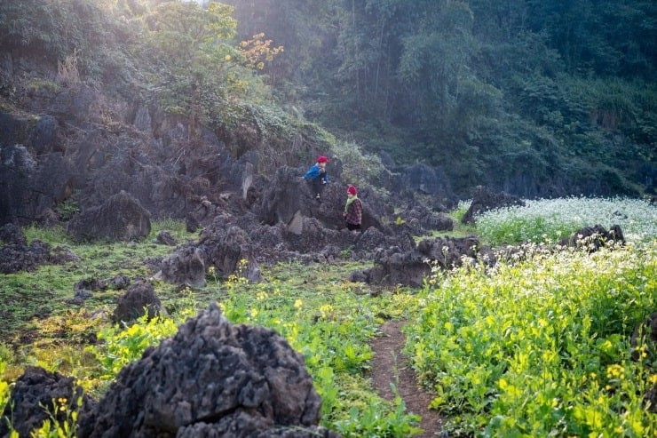 Không cần những tiểu cảnh được sắp đặt cầu kỳ, chính những góc sinh hoạt quen thuộc như hàng rào gỗ, chiếc ghế mộc, xích đu đơn sơ, cầu gỗ nhỏ hay khu vực trồng trọt - chăn nuôi của bà con lại trở thành điểm nhấn đầy cảm xúc, mang đến những khung hình chân thật và giàu chất bản địa. Ảnh Vietnamnet