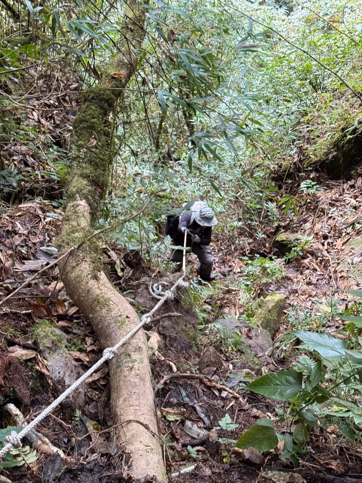 Chu Va 12 và Can Chua Thìa Sảng không dành cho những người mới bắt đầu hay có thể lực yếu.