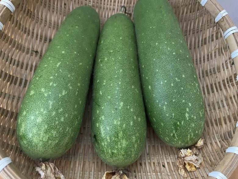 Bí đao có đặc tính nổi bật là chứa hàm lượng nước cao và giàu kali. Hai yếu tố này giúp điều hòa cân bằng nước – muối, đồng thời thúc đẩy quá trình bài tiết, hỗ trợ lợi tiểu. Tuy nhiên, chính đặc điểm tưởng chừng có lợi đó lại có thể gây tác động ngược nếu tiêu thụ quá mức. Ảnh minh hoạ