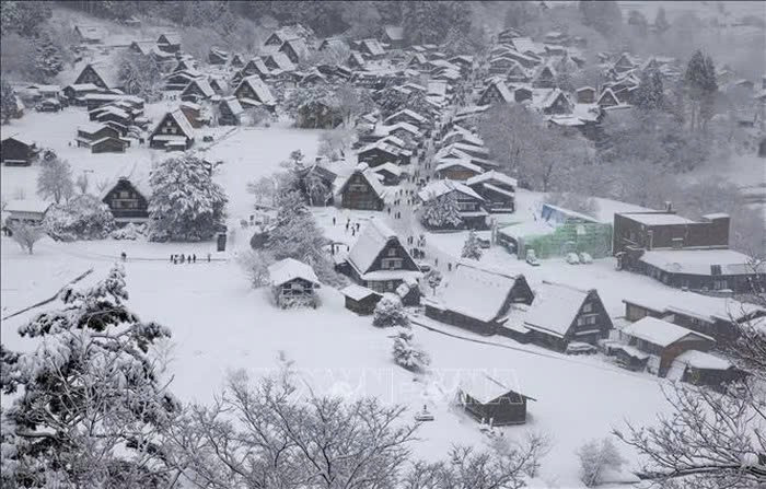 Ẩn mình giữa thung lũng và được bao bọc bởi dãy núi Hida hùng vĩ thuộc tỉnh Gifu, Shirakawa-go vào mùa đông hiện lên như một ngôi làng cổ tích giữa miền tuyết trắng Nhật Bản. Ảnh TTXVN