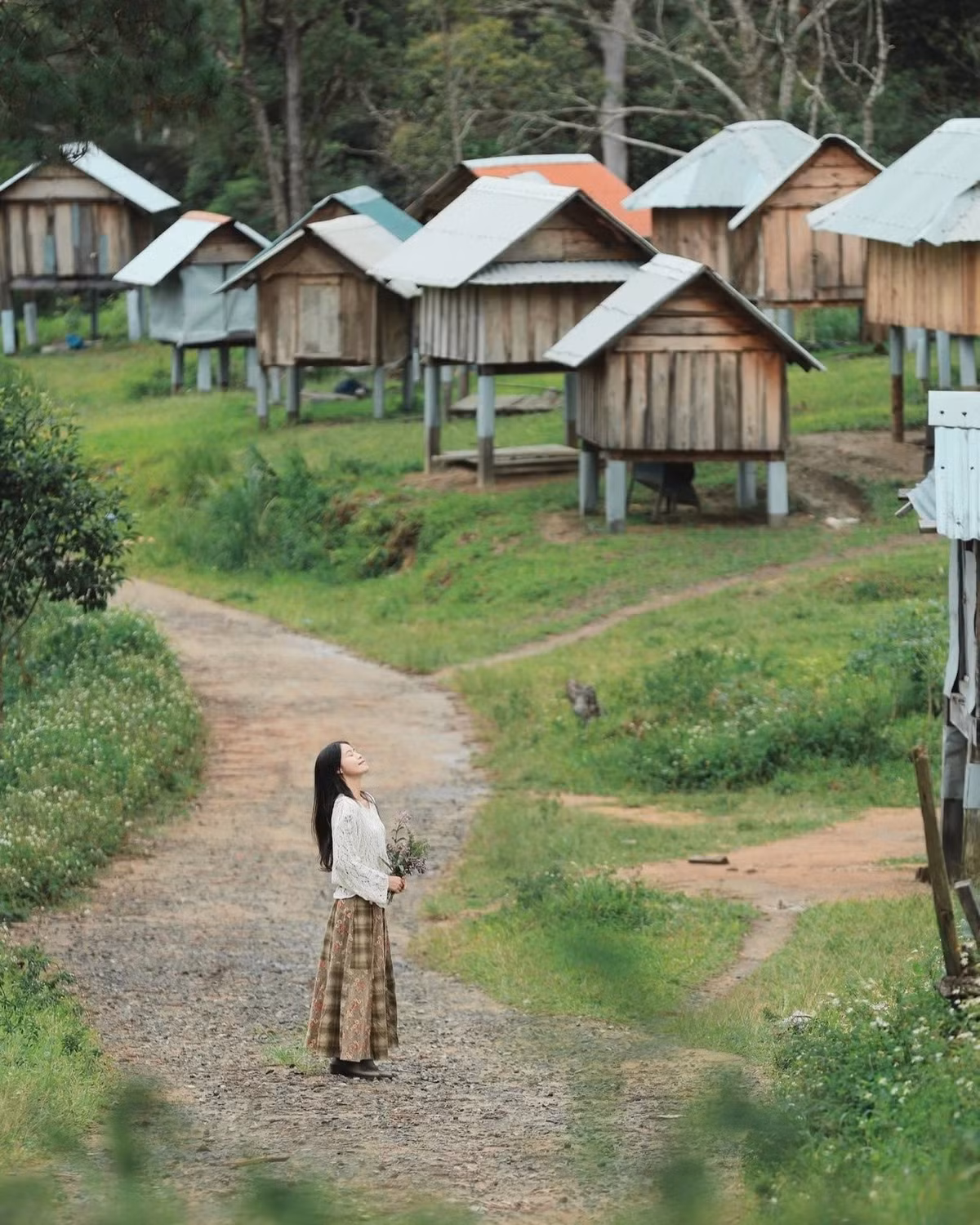 Khoảnh khắc đẹp nhất tại kho lúa Măng Đen là sáng sớm và chiều hoàng hôn, khi ánh nắng phủ vàng lên từng mái tranh, tạo nên khung cảnh huyền ảo tựa tranh vẽ. Ảnh Minh Lê