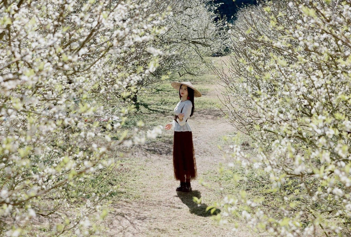 Tùy vào quỹ thời gian và thói quen du lịch, du khách có thể chọn hình thức phù hợp. Nhưng dù đi bằng cách nào, mùa hoa mận trái vụ Mộc Châu vẫn là khoảnh khắc thiên nhiên đáng để trải nghiệm. Vẻ tinh khôi của hoa trắng trong sương, sự bình yên của cao nguyên và nhịp sống chậm rãi của người dân tạo nên hành trình nhẹ nhàng, đủ khiến bất cứ ai cũng muốn quay trở lại. Ảnh Đinh Văn Phúc