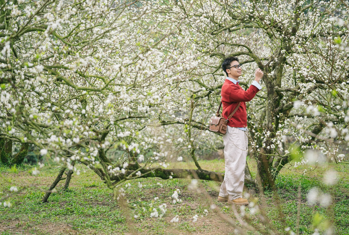 Với sức hút đặc biệt của mùa hoa mận trái vụ, câu hỏi được nhiều du khách quan tâm là nên chọn đi tự túc hay đặt tour. Mỗi hình thức mang đến trải nghiệm khác nhau, phù hợp với từng nhu cầu.Ảnh Quang Kiên