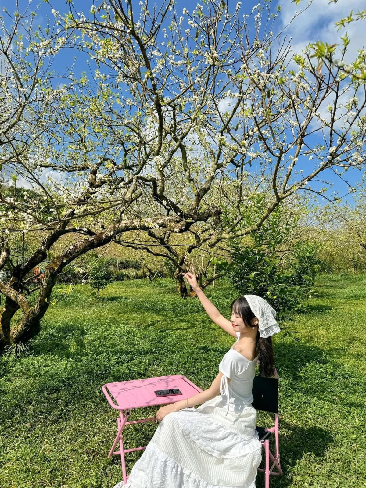 Ngược lại, tour trọn gói mang đến sự tiện lợi, đặc biệt với gia đình và nhóm đông. Các tour 1–2 ngày thường gồm xe đưa đón, hướng dẫn viên, lịch trình tối ưu và các điểm chụp hoa đẹp nhất. Một số đơn vị còn bổ sung trải nghiệm như thuê trang phục dân tộc, picnic trong vườn mận hoặc dịch vụ chụp ảnh, giúp chuyến đi nhẹ nhàng, an toàn và tiết kiệm thời gian. Giá tour dao động từ 790.000 – 1.490.000 đồng/người tùy dịch vụ và thời gian. Ảnh Anh Thơ