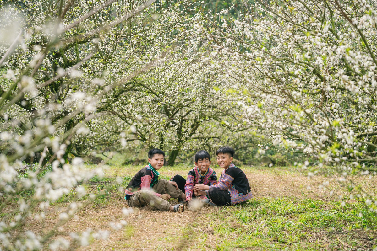 Hoa trái vụ không nở dày đặc như mùa chính, nhưng chính sự lác đác, nhẹ nhàng ấy lại khiến cảnh sắc trở nên tinh tế, gợi cảm giác man mác quen thuộc của mùa đông vùng cao. Ảnh Quang Kiên