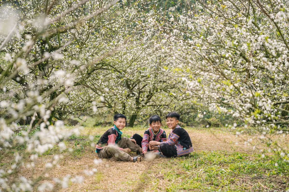 Hoa trái vụ không nở dày đặc như mùa chính, nhưng chính sự lác đác, nhẹ nhàng ấy lại khiến cảnh sắc trở nên tinh tế, gợi cảm giác man mác quen thuộc của mùa đông vùng cao. Ảnh Quang Kiên