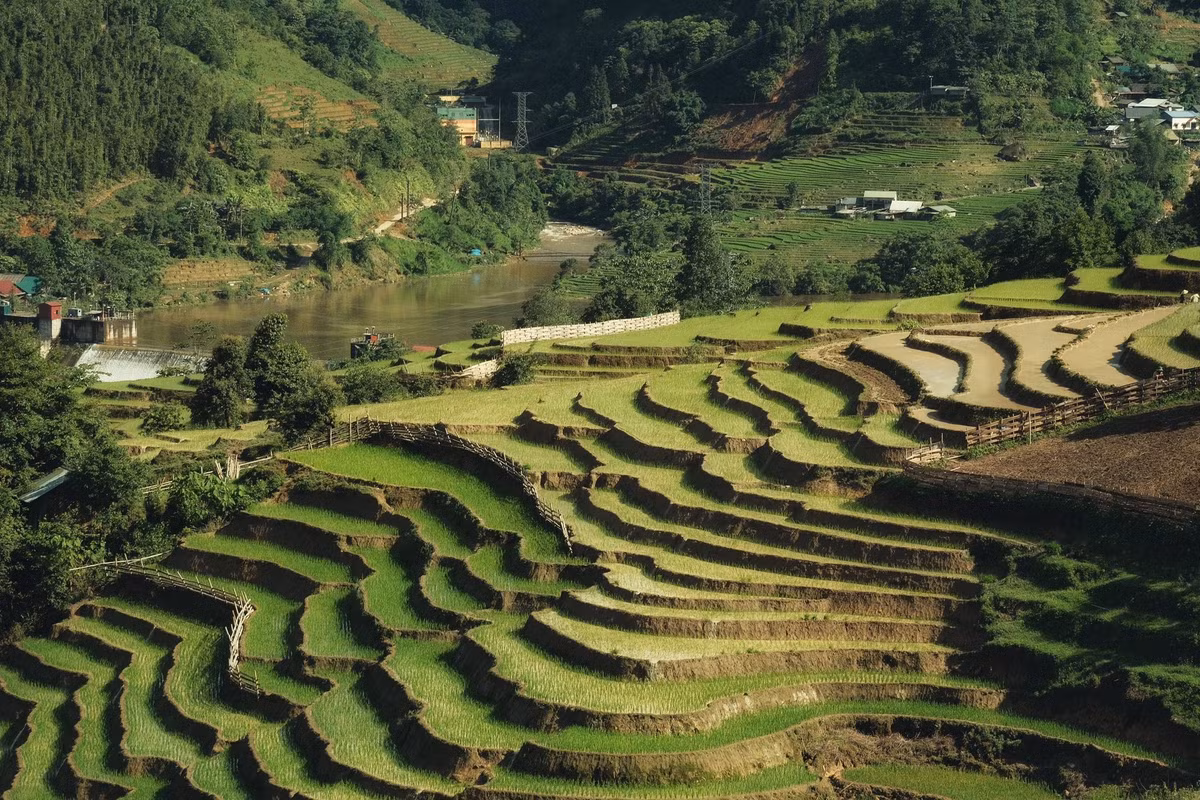 Bên cạnh biển mây, Y Tý mùa này còn rực rỡ bởi ruộng bậc thang mùa đổ ải – mùa người dân dẫn nước về ruộng để chuẩn bị cấy vụ mới. Nước từ các khe suối đầu nguồn được dẫn qua hệ thống mương máng tự nhiên, tràn xuống từng thửa ruộng bậc thang uốn lượn như vân tay. Mặt ruộng loang loáng như gương, phản chiếu mây trời, núi non và cả bóng dáng người nông dân cần mẫn. Cảnh sắc ấy vừa hùng vĩ, vừa thơ mộng, như một bức tranh thủy mặc sống động giữa đại ngàn. Ảnh Phạm Quang Tuyên