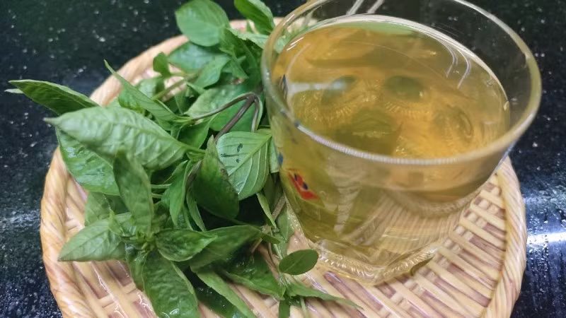 Ngoài ra, các chất chống oxy hóa trong rau húng quế còn giúp bảo vệ niêm mạc dạ dày trước tác động của các gốc tự do, từ đó giảm nguy cơ tổn thương và viêm nhiễm. Nhờ những lợi ích này, húng quế không chỉ góp phần làm phong phú hương vị món ăn mà còn hỗ trợ chăm sóc hệ tiêu hóa một cách tự nhiên. Ảnh minh họa