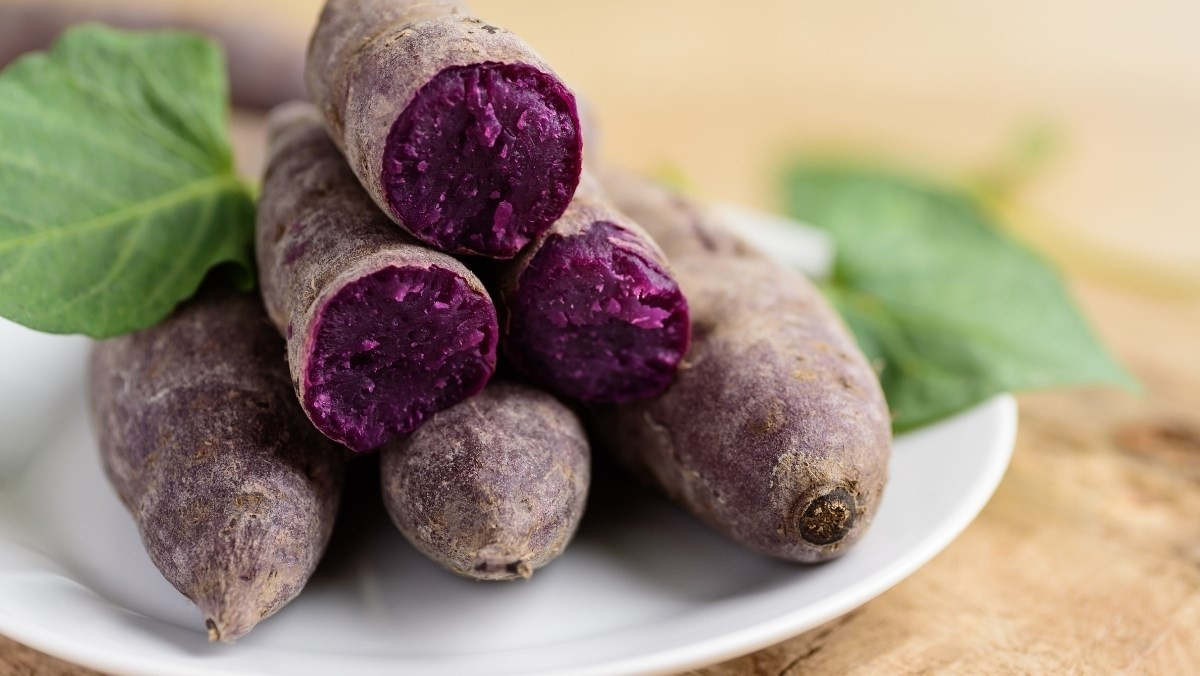 Buổi sáng được coi là thời điểm lý tưởng nhất để ăn khoai lang. Sau một đêm dài, cơ thể cần được bổ sung năng lượng để khởi động các hoạt động trao đổi chất. Khoai lang cung cấp nguồn carbohydrate hấp thu chậm, giúp giải phóng năng lượng ổn định, hạn chế tình trạng đói nhanh và giảm nhu cầu ăn vặt. Ảnh minh họa