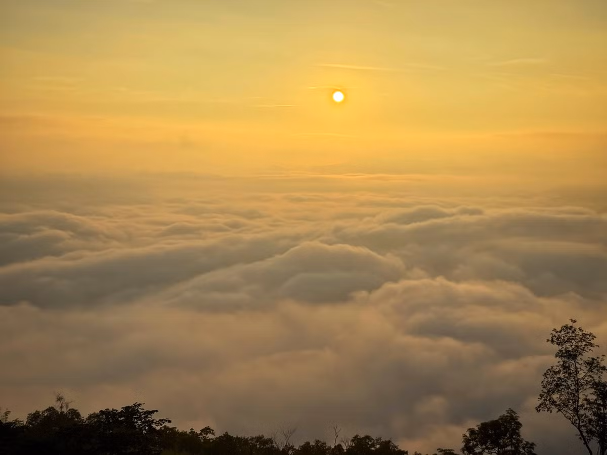 Có lúc, mây dâng cao, phủ trắng mọi lối, khiến du khách chỉ cần đưa tay ra là có cảm giác chạm được vào những đám mây đang trôi. Ảnh Lương Thảo Phương