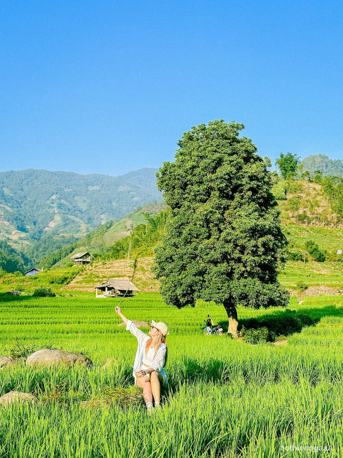 Những ai ưa khám phá có thể kết hợp trekking trong rừng nguyên sinh gần đó, nơi lưu giữ nhiều loài thực vật quý và cảnh quan kỳ thú.