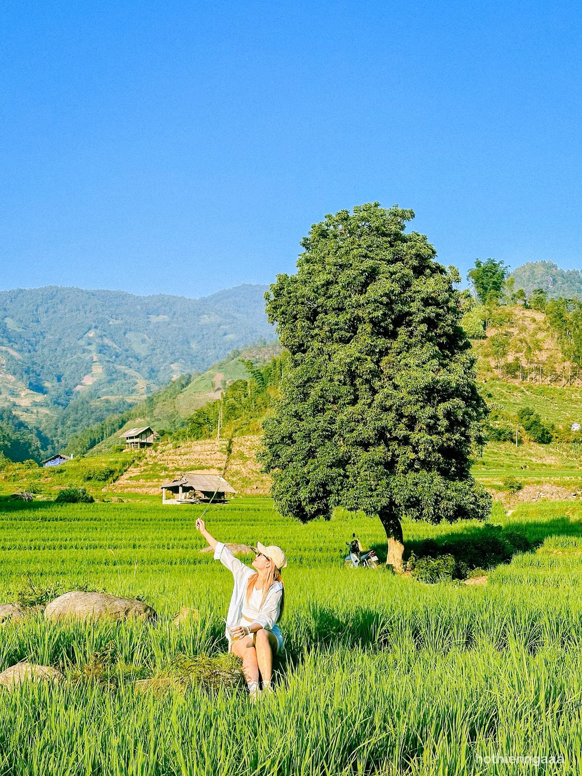 Những ai ưa khám phá có thể kết hợp trekking trong rừng nguyên sinh gần đó, nơi lưu giữ nhiều loài thực vật quý và cảnh quan kỳ thú.