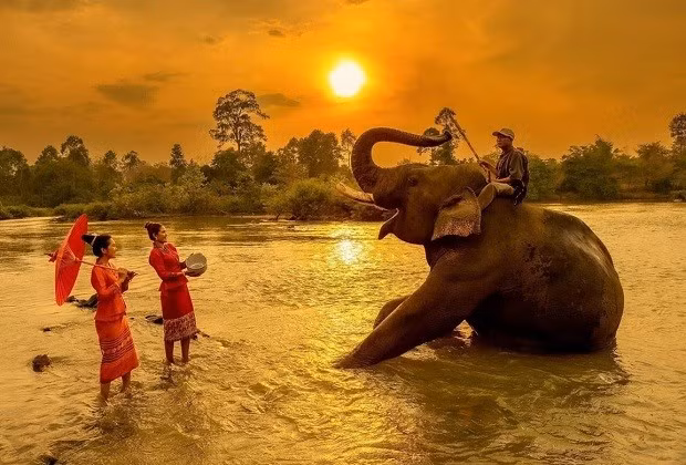 Buôn Đôn từ lâu nổi tiếng với nghề thuần dưỡng voi và những câu chuyện truyền thuyết về loài vật khổng lồ này. Ảnh VietnamBooking