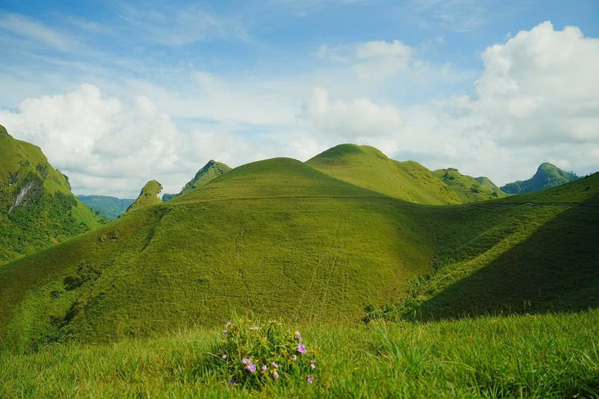 Những dải cỏ xanh mướt như tấm thảm khổng lồ phủ tràn các triền đồi nhấp nhô, hòa cùng mây trắng bảng lảng trên đỉnh núi khiến nơi đây gợi liên tưởng đến hình ảnh “Thụy Sĩ thu nhỏ” giữa lòng Cao Bằng. Ảnh Ba Đứa Mình
