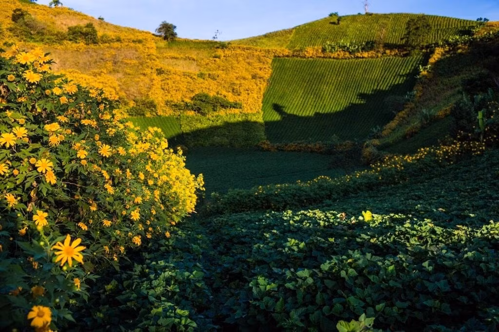 Đứng trên miệng núi, du khách có thể phóng tầm mắt ngắm trọn khung cảnh núi non hùng vĩ, làng mạc thấp thoáng giữa những rừng cây. Ảnh phuotvivu