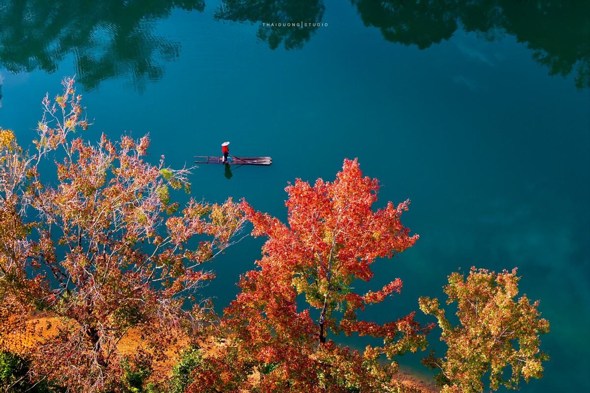 Etter hvert som de kalde vindene begynner å feie over høylandet, får Ban Viet-sjøen (Dam Thuy kommune, Cao Bang-provinsen) en skjønnhet som er ganske annerledes enn vanlig. Trærne langs innsjøkanten skifter gradvis farge, fra dypgrønn til blekgule og deretter rødlige nyanser, og reflekteres på den rolige vannoverflaten og skaper et mildt og rolig landskap som virkelig passer til et fredelig fjellområde. (Foto: Thai Duong AC)