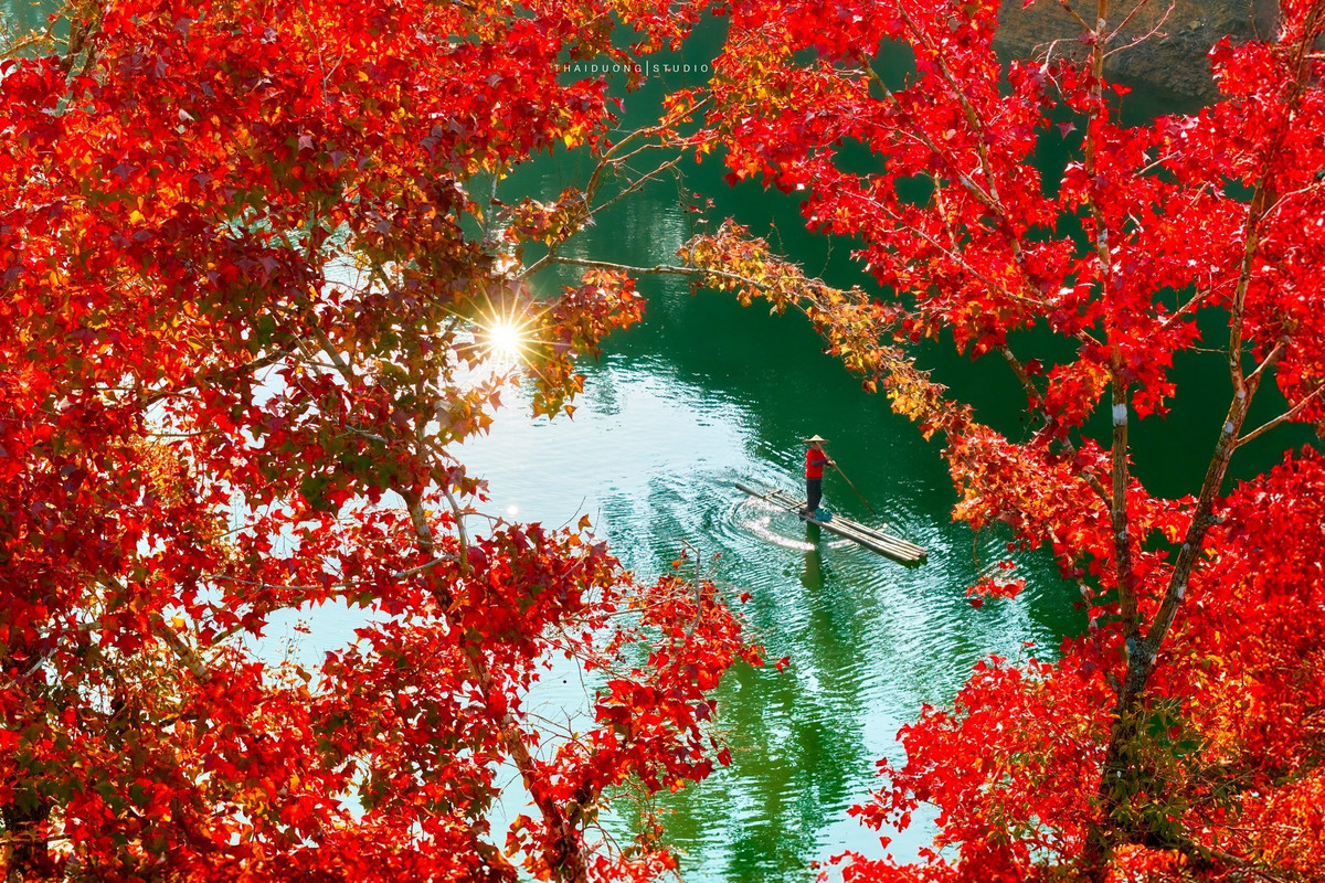 Besøkende til Ban Viet-sjøen kan velge mellom en rekke enkle, men følelsesmessig berikende opplevelser. Å ro en båt på den rolige innsjøen gir en følelse av avslapning, slik at besøkende kan roe ned og bedre sette pris på naturens rytme. Å gå rundt innsjøen og lytte til vinden som rasler gjennom trærne er nok til å fordrive trettheten etter lange reiser. (Foto: Thai Duong AC)