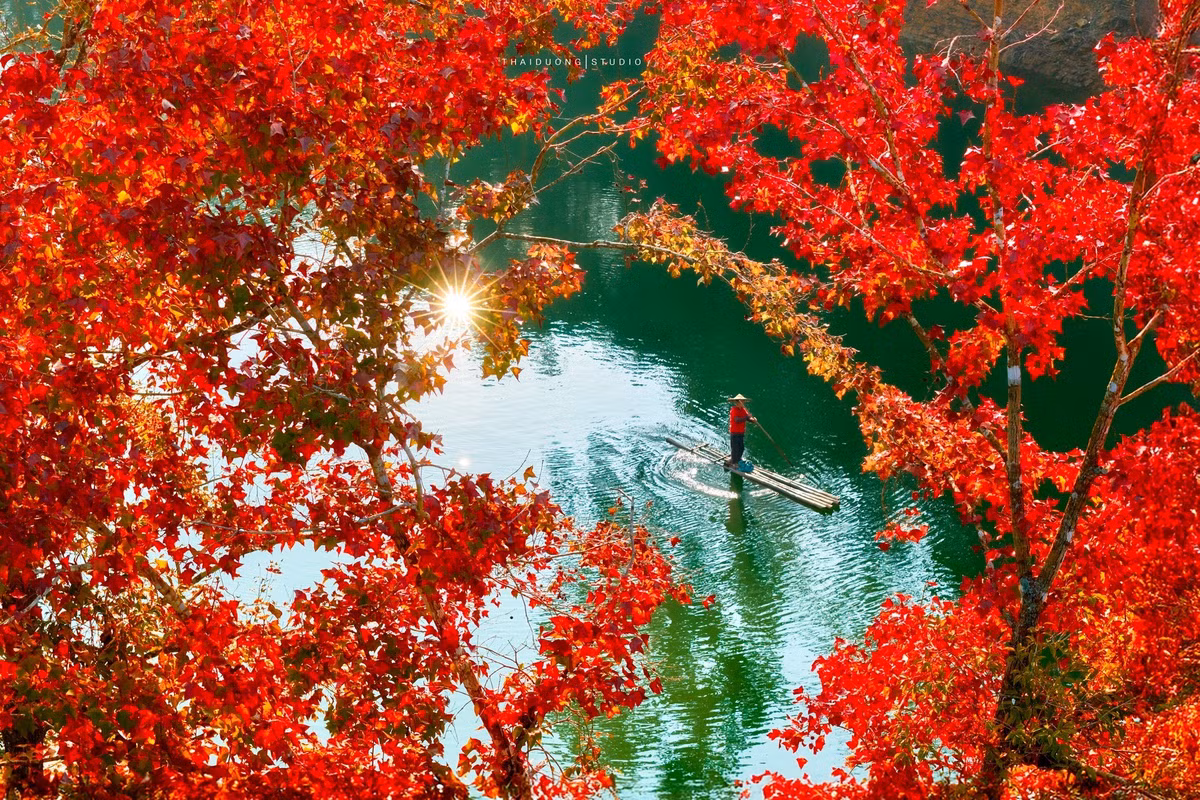 Du khách đến hồ Bản Viết có thể lựa chọn những trải nghiệm đơn giản nhưng giàu cảm xúc. Chèo thuyền trên mặt hồ tĩnh lặng mang lại cảm giác thư thái, giúp du khách chậm lại để cảm nhận rõ hơn nhịp thở của thiên nhiên. Đi bộ quanh hồ, lắng nghe tiếng gió xào xạc qua tán cây cũng đủ để xua tan cảm giác mệt mỏi sau những chặng đường dài. Ảnh Thái Dương AC