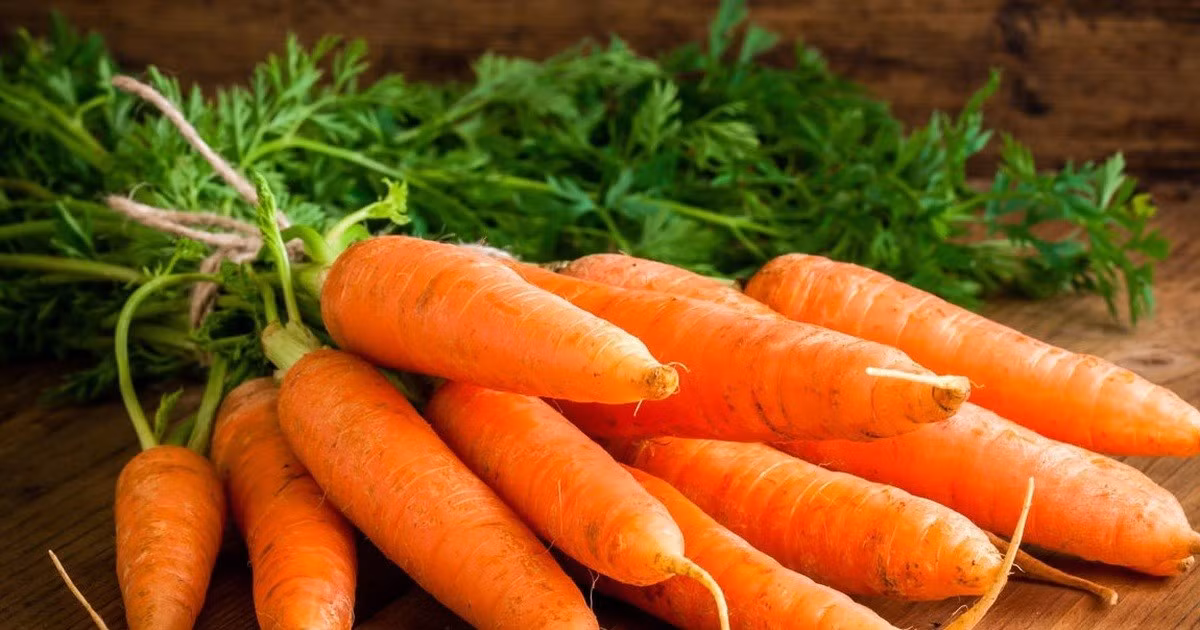 Cà rốt là một trong những nguồn beta carotene phong phú nhất. Đây là tiền chất của vitamin A, đồng thời đóng vai trò quan trọng trong việc bảo vệ tế bào trước stress oxy hóa. Ảnh minh họa