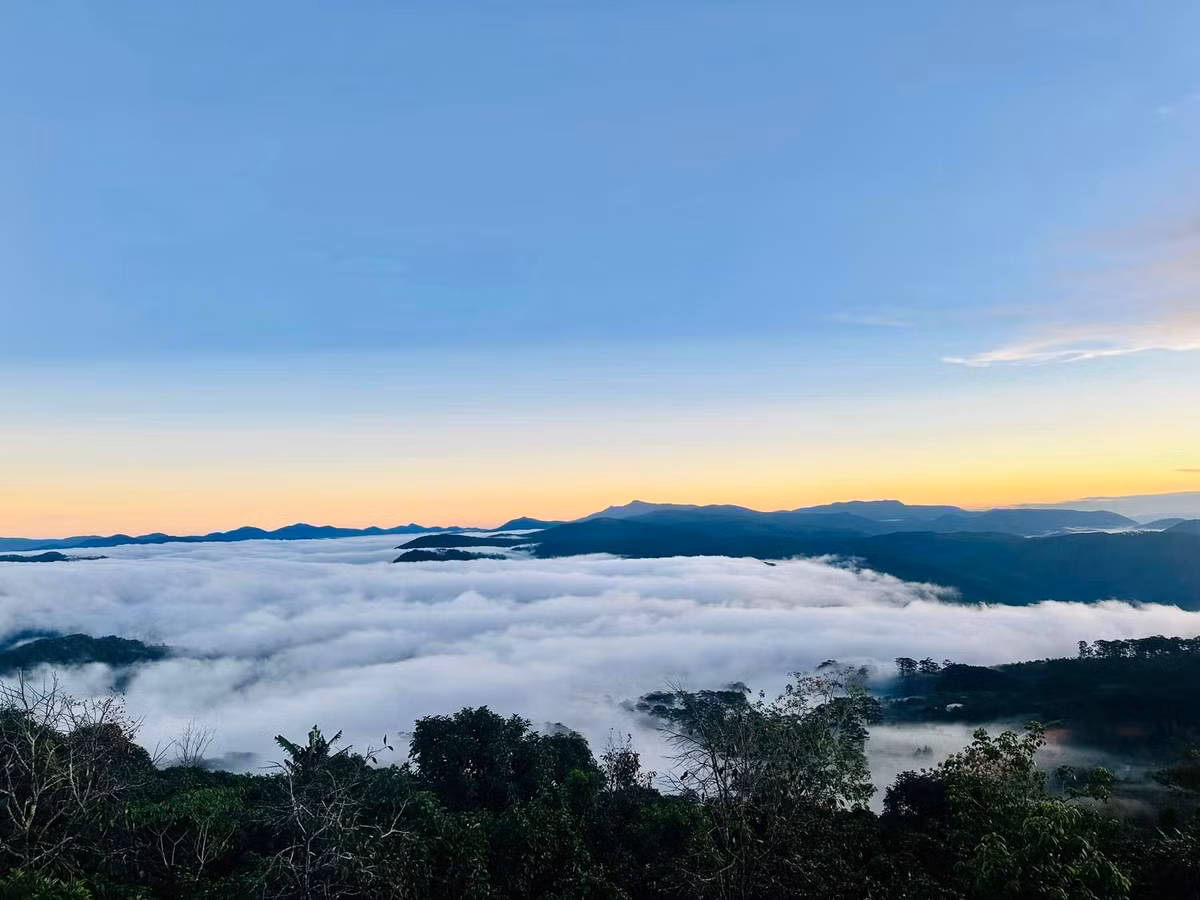 Không chỉ là điểm săn mây lý tưởng, Cầu Đất còn mang đến nhiều trải nghiệm thú vị xoay quanh mô hình du lịch xanh và bền vững. Du khách có thể tham quan xưởng sản xuất trà, thử hái chè cùng người bản địa, học cách sao trà thủ công hoặc khám phá khu điện mặt trời Cầu Đất – nơi những tấm pin năng lượng trải dài trên sườn đồi tạo thành một khung cảnh rất độc đáo, vừa hiện đại vừa hài hòa với thiên nhiên. Ảnh Checkin Vietnam